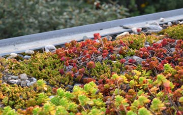 the cost of Toynton St Peter green roof installation